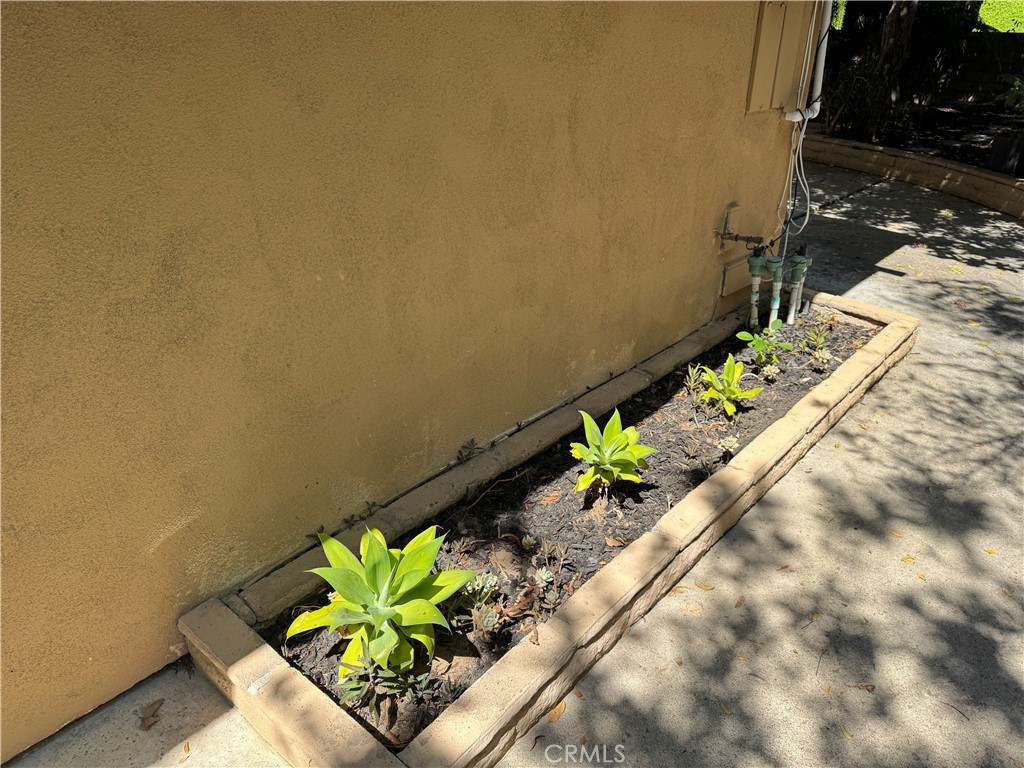 39 Bethany Drive Irvine, CA 92603 - Photo 29 of 37 a view of a flower in a vase with flowers