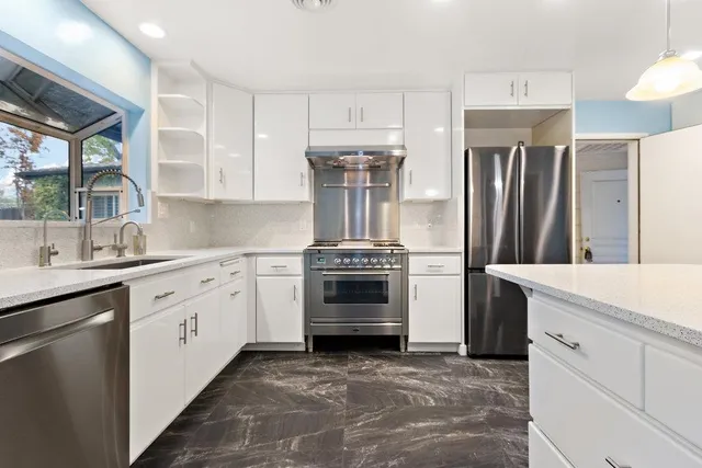 a view of a garden with plants and large trees