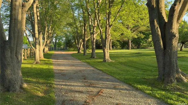 a view of a park with large trees