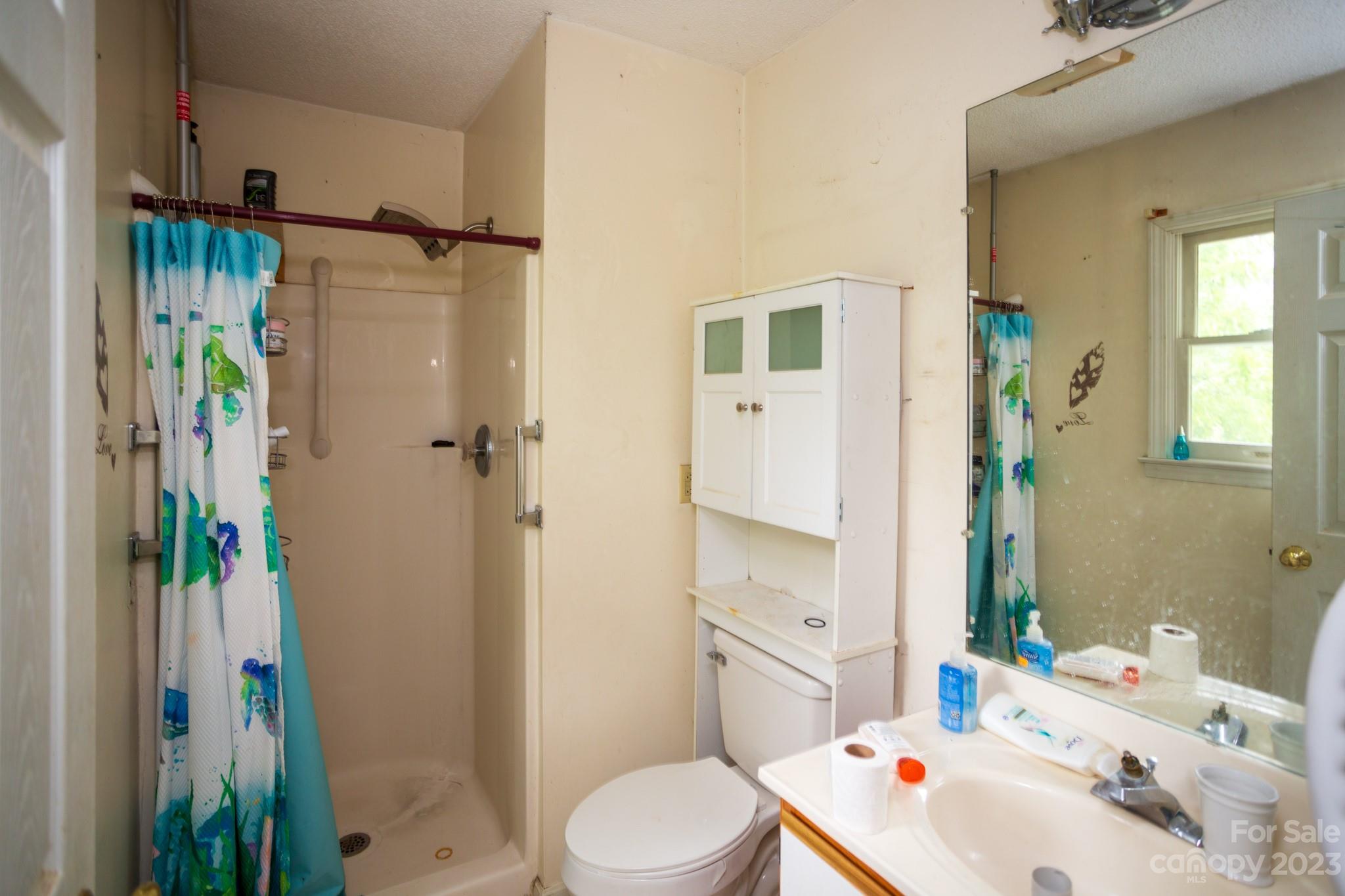 88 Adams Drive Brevard, NC 28712 - Photo 18 of 20 a bathroom with a sink toilet and shower