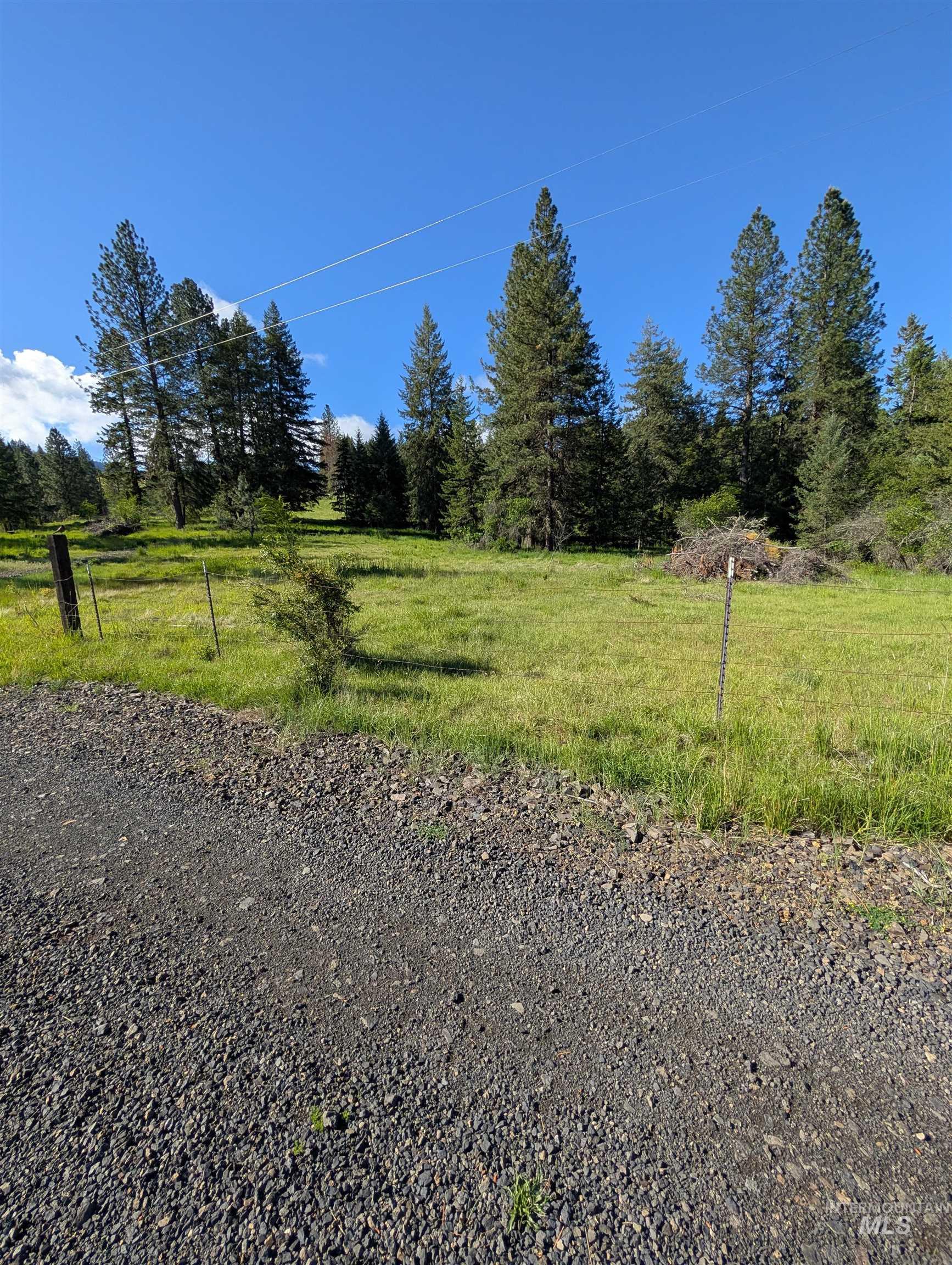 Parcel B Old Elk City Wagon Road Stites, ID 83552 - Photo 7 of 8