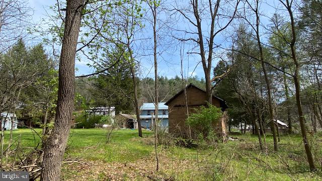 201 Hoover Road Robertsdale, PA 16674 - Photo 11 of 22 Serene woodland retreat awaits discovery.