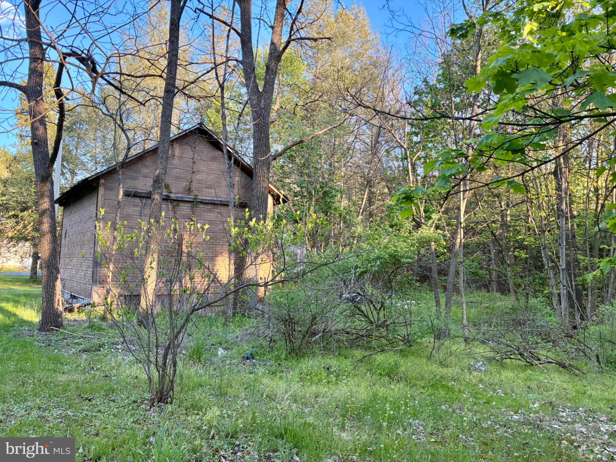 201 Hoover Road Robertsdale, PA 16674 - Photo 14 of 22 Secluded cabin embraced by nature.