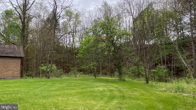 201 Hoover Road Robertsdale, PA 16674 - Photo 15 of 22 Serene green space with wooded backdrop.