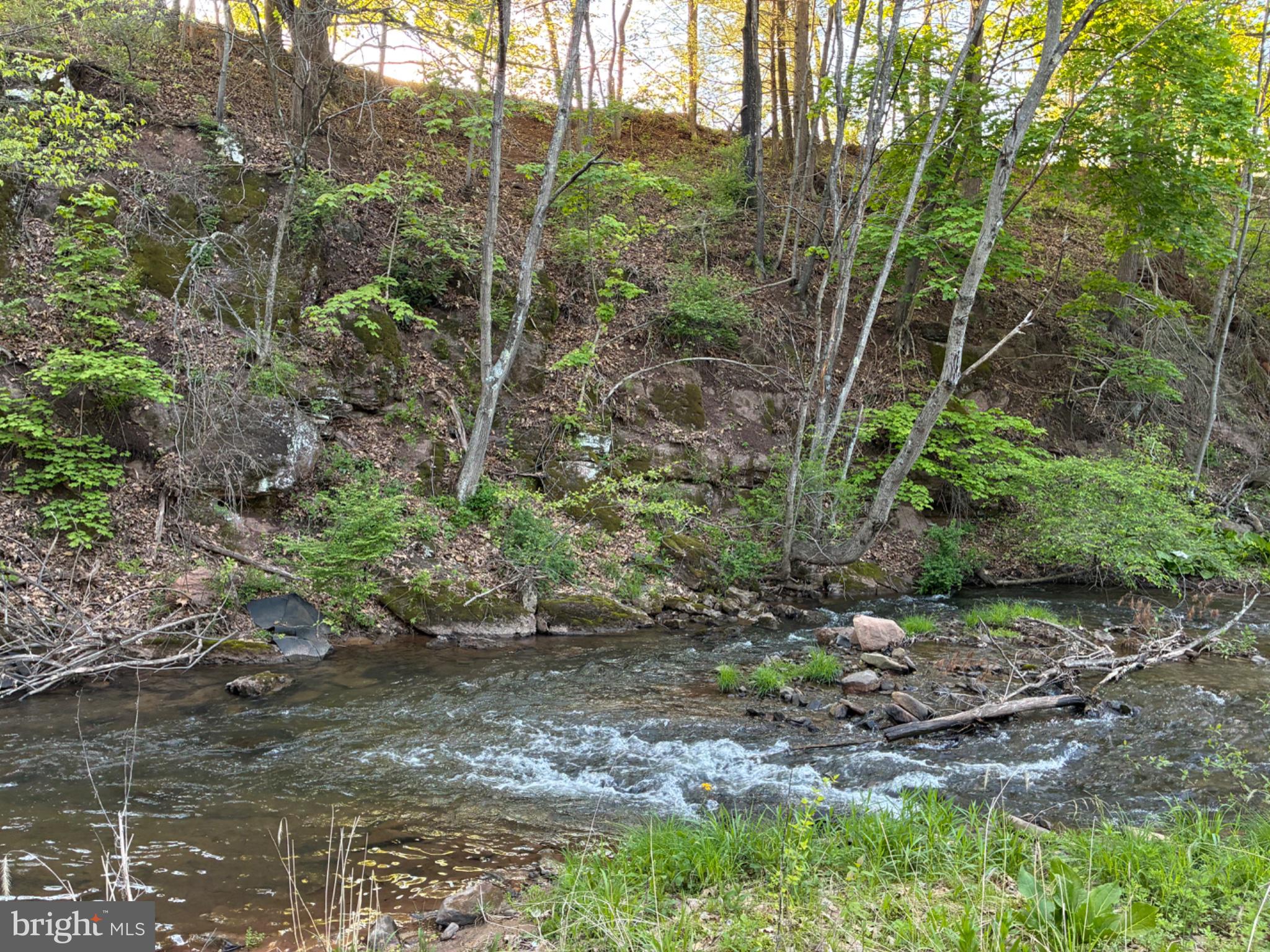 201 Hoover Road Robertsdale, PA 16674 - Photo 16 of 22 Serene stream amidst lush greenery.