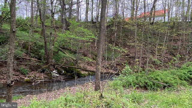 201 Hoover Road Robertsdale, PA 16674 - Photo 17 of 22 Tranquil stream amidst lush greenery.