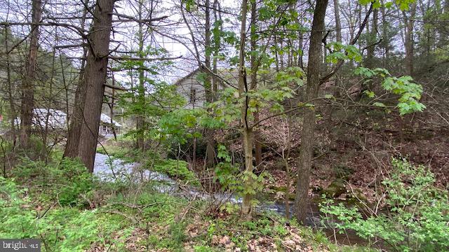 201 Hoover Road Robertsdale, PA 16674 - Photo 18 of 22 Serene retreat by the flowing stream.