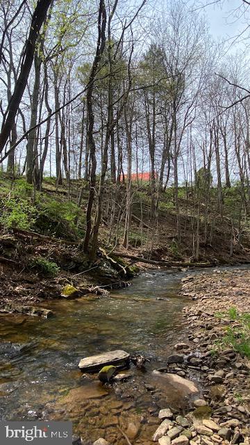 201 Hoover Road Robertsdale, PA 16674 - Photo 19 of 22 Tranquil stream in lush woodland