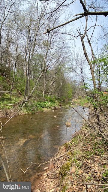 201 Hoover Road Robertsdale, PA 16674 - Photo 20 of 22 Serene Stream Amidst Spring Foliage