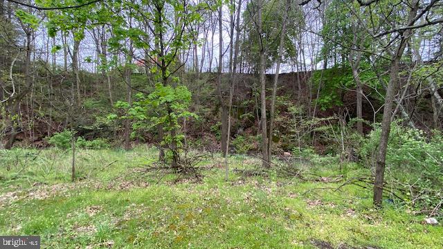 201 Hoover Road Robertsdale, PA 16674 - Photo 21 of 22 Lush greenery meets rugged terrain.