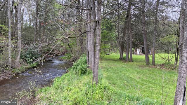 201 Hoover Road Robertsdale, PA 16674 - Photo 22 of 22 Serene riverside retreat in nature.