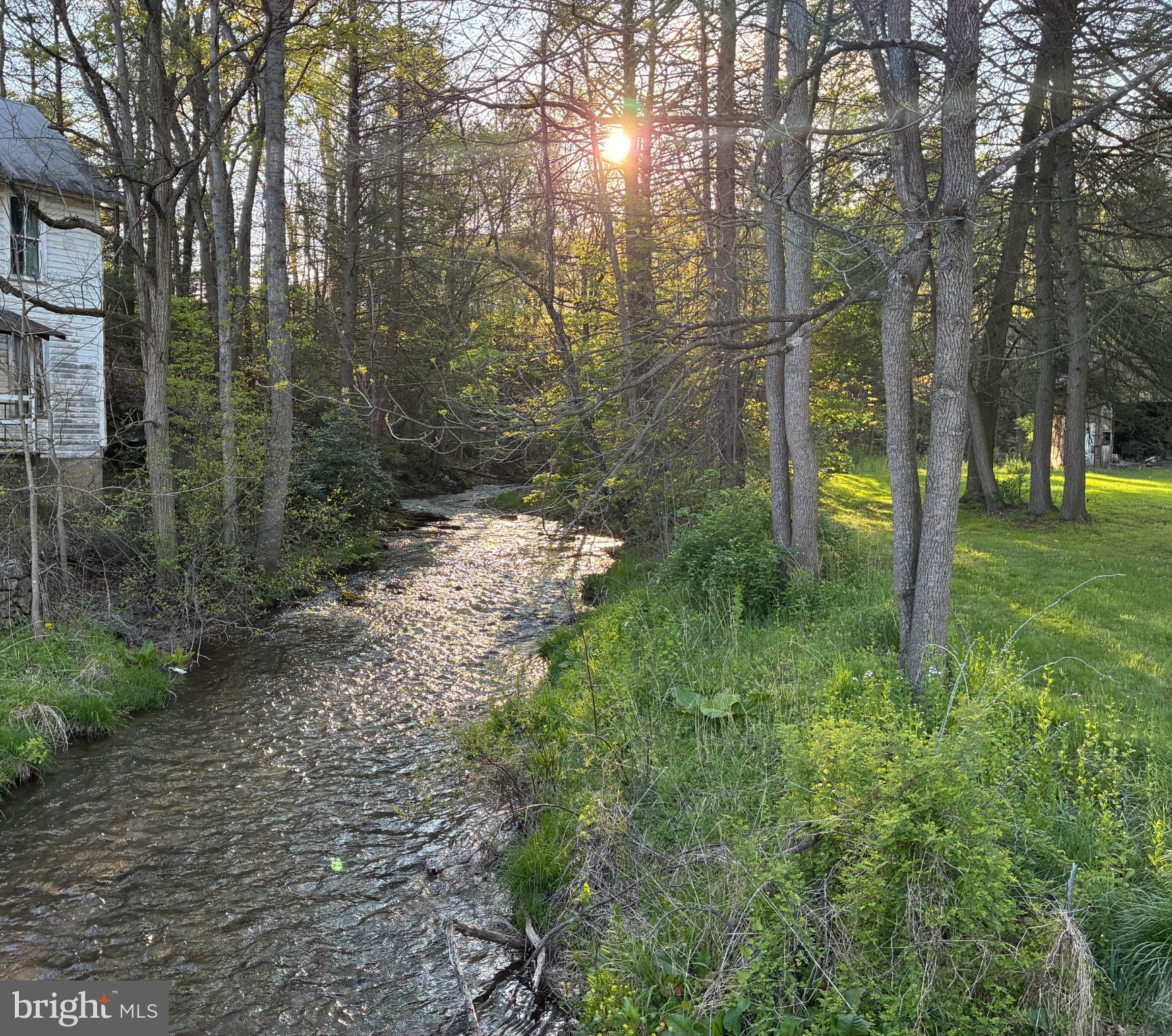 201 Hoover Road Robertsdale, PA 16674 - Photo 44 of 55 Sunlit stream through tranquil woods.