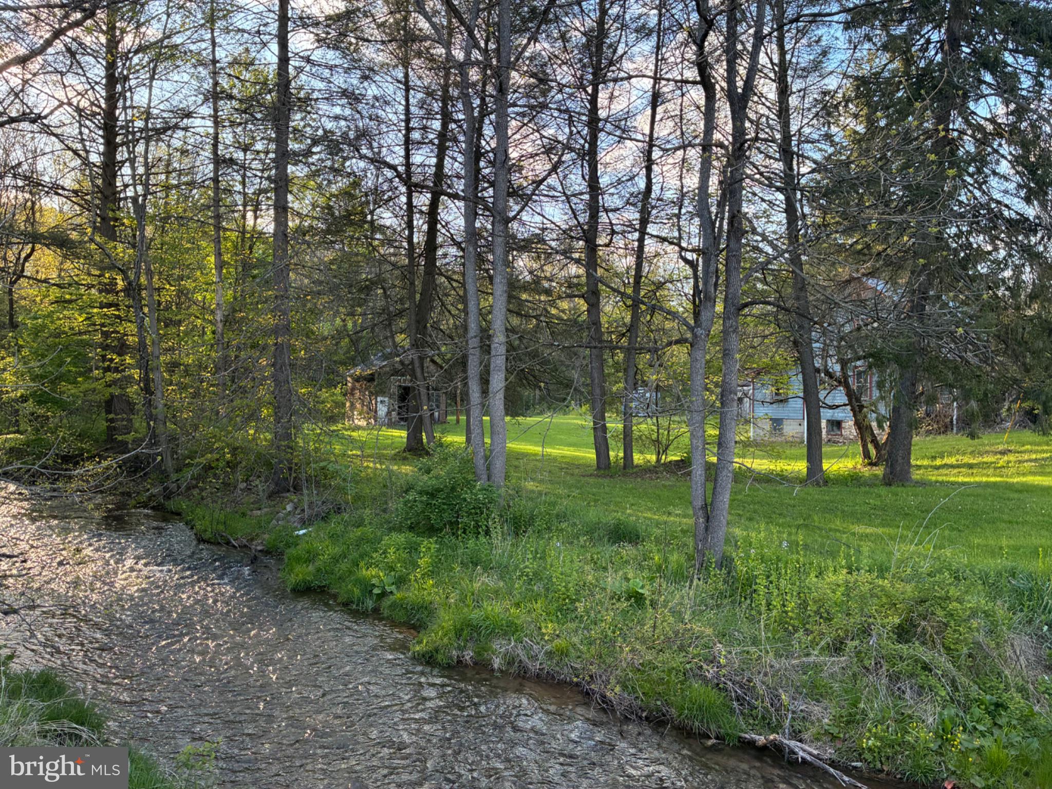 201 Hoover Road Robertsdale, PA 16674 - Photo 45 of 55 a view of a trees in a yard