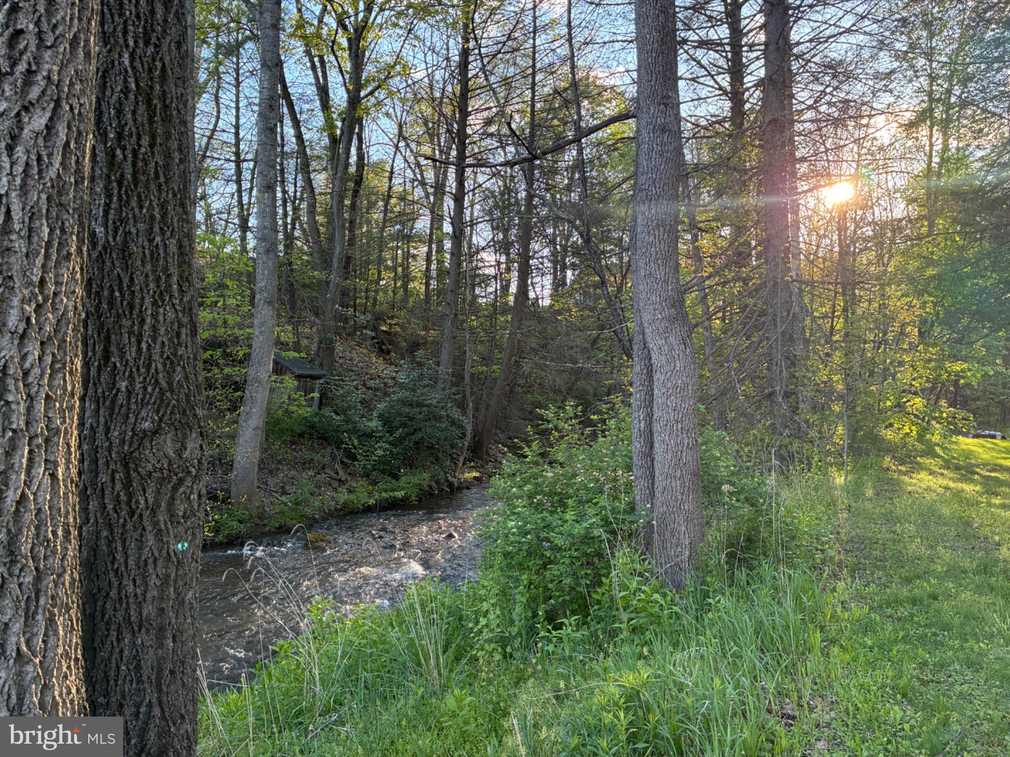 201 Hoover Road Robertsdale, PA 16674 - Photo 46 of 55 a view of a forest with trees
