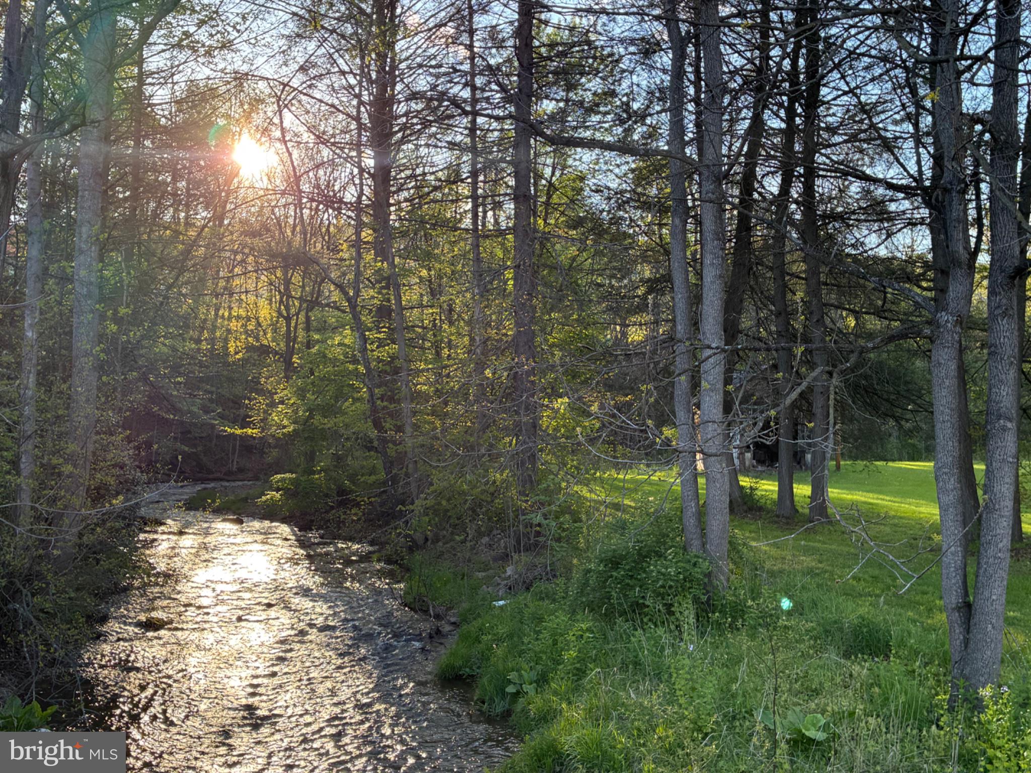 201 Hoover Road Robertsdale, PA 16674 - Photo 48 of 55 Sunlit Stream Through Lush Pines