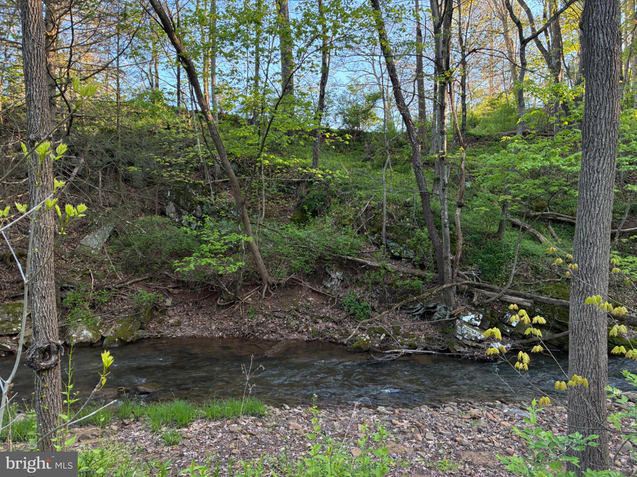 201 Hoover Road Robertsdale, PA 16674 - Photo 49 of 55 Serene stream amidst lush greenery.