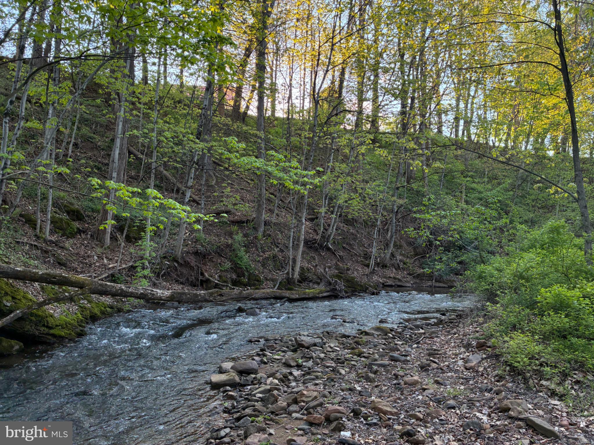 201 Hoover Road Robertsdale, PA 16674 - Photo 50 of 55 a view of a forest that has large trees