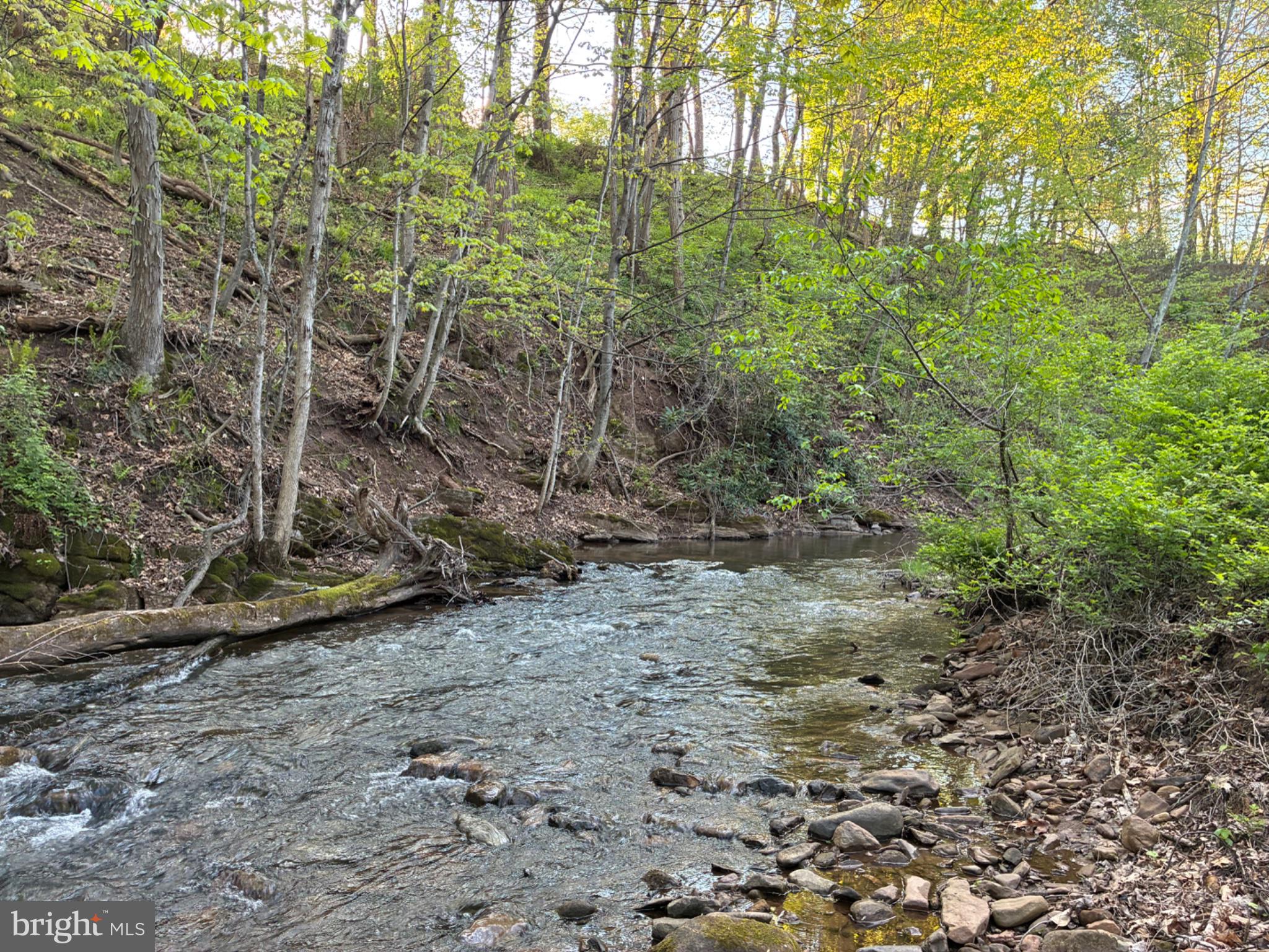 201 Hoover Road Robertsdale, PA 16674 - Photo 51 of 55 Serene Stream Amidst Lush Greenery