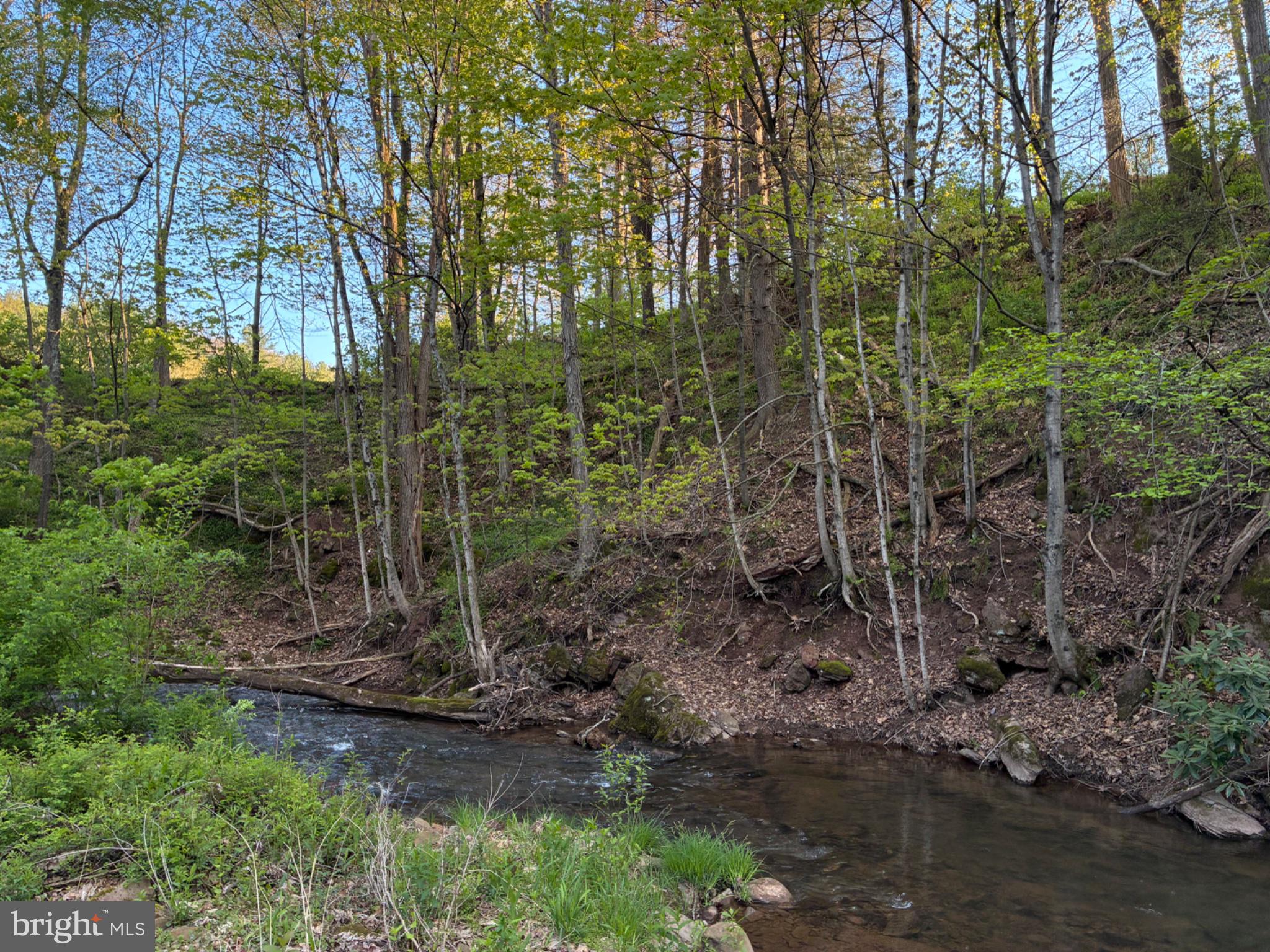 201 Hoover Road Robertsdale, PA 16674 - Photo 54 of 55 a backyard of a house with lots of green space