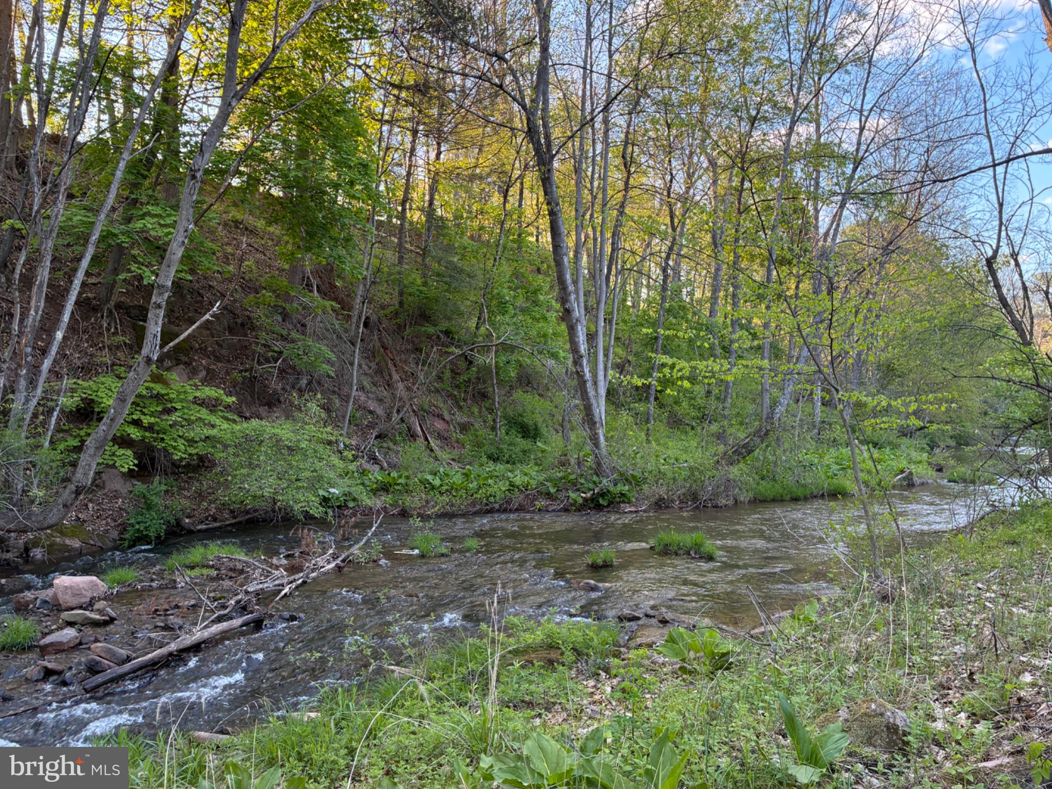 201 Hoover Road Robertsdale, PA 16674 - Photo 55 of 55 a view of a forest filled with trees