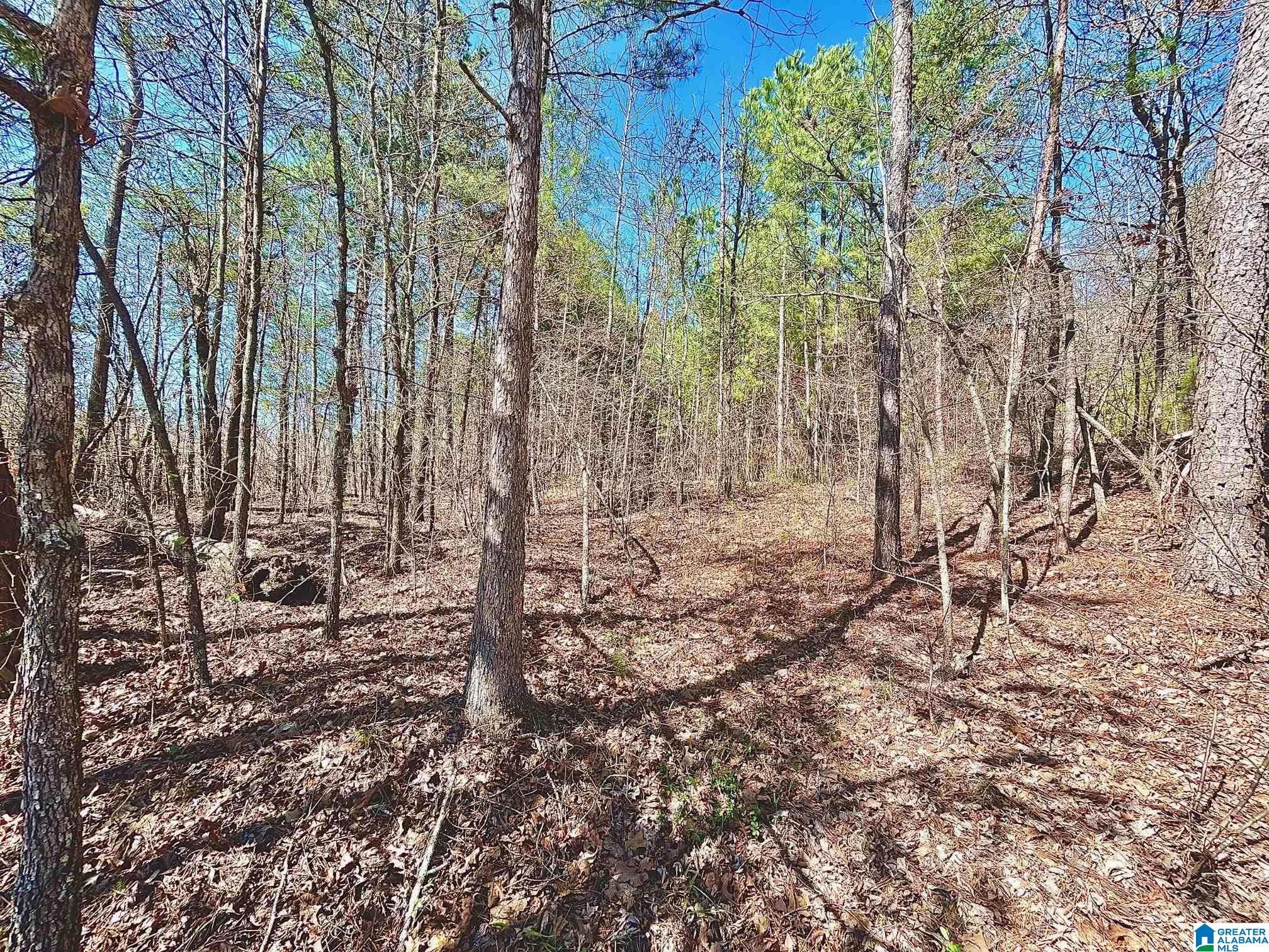 1786 Warrior Trafford Road Warrior, AL 35180 - Photo 2 of 3