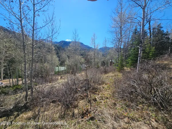 $145,000 | Tbd Bear Creek Lane, Carbondale, CO 81623