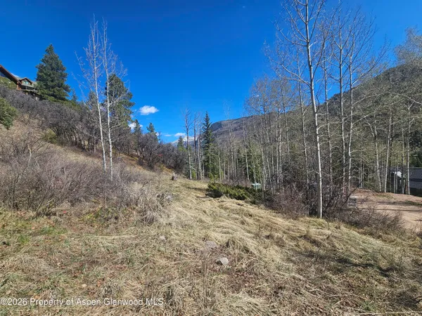 $145,000 | Tbd Bear Creek Lane, Carbondale, CO 81623