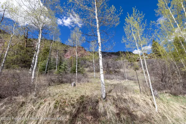 $145,000 | Tbd Bear Creek Lane, Carbondale, CO 81623
