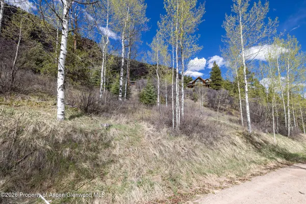 $145,000 | Tbd Bear Creek Lane, Carbondale, CO 81623