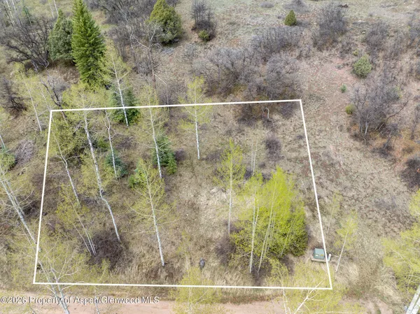 $145,000 | Tbd Bear Creek Lane, Carbondale, CO 81623
