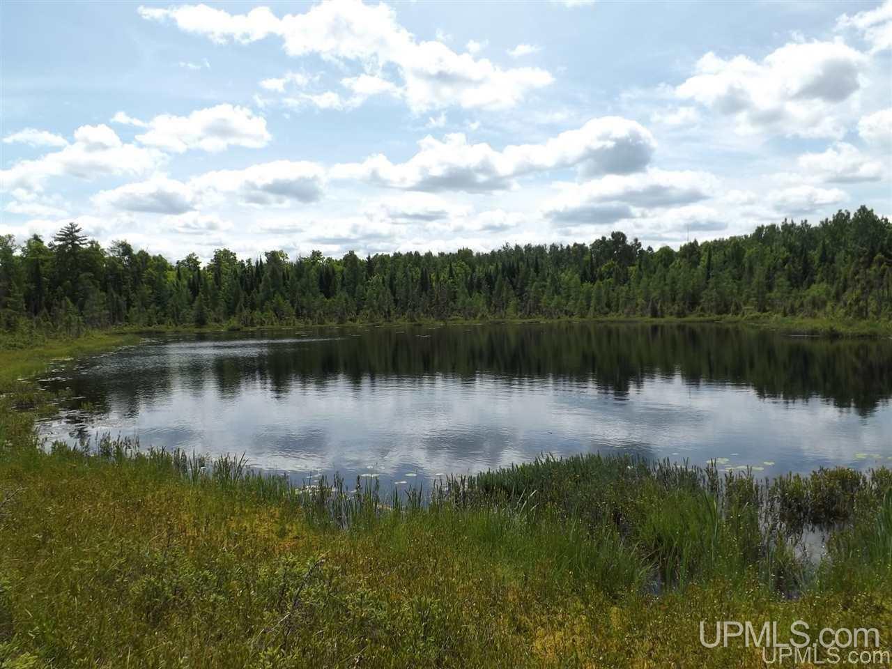 Tbd South Olson Lake Road Michigamme, MI 49861 - Photo 2 of 25