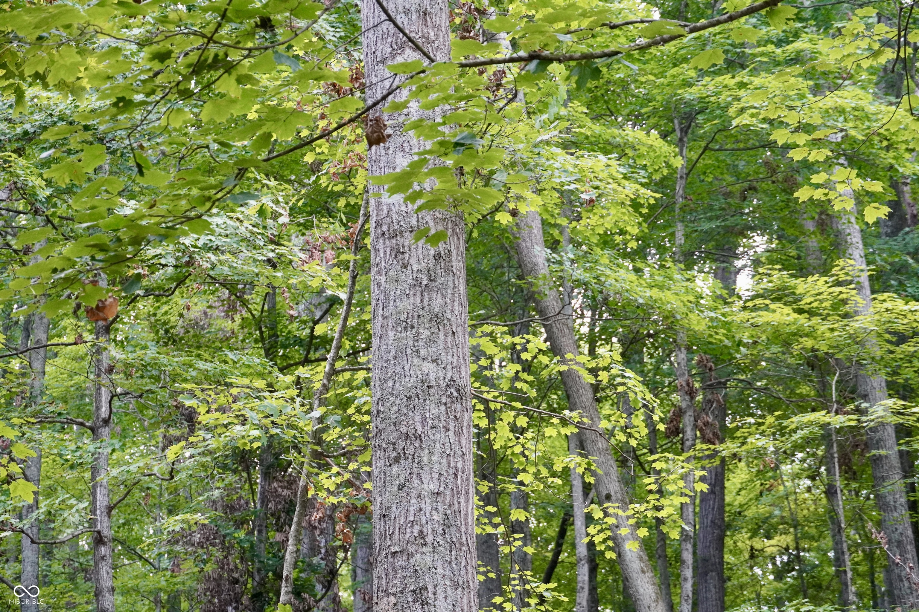 9830 Low Gap Road Martinsville, IN 46151 - Photo 149 of 192 Gallery Image 149
