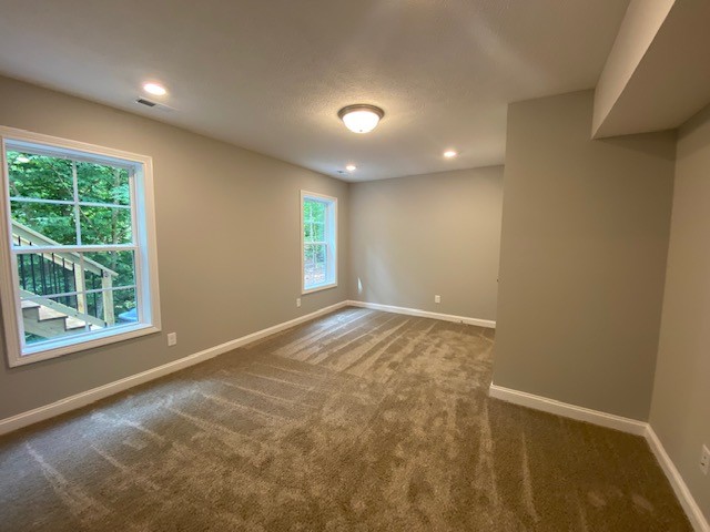 3359 Lylewood Road Woodlawn, TN 37191 - Photo 17 of 20 Gallery Image 17