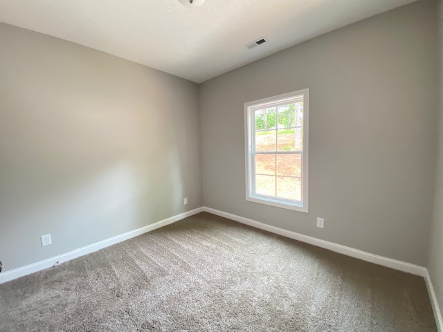 3359 Lylewood Road Woodlawn, TN 37191 - Photo 8 of 20 Gallery Image 8