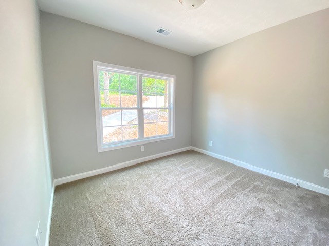 3359 Lylewood Road Woodlawn, TN 37191 - Photo 9 of 20 Gallery Image 9