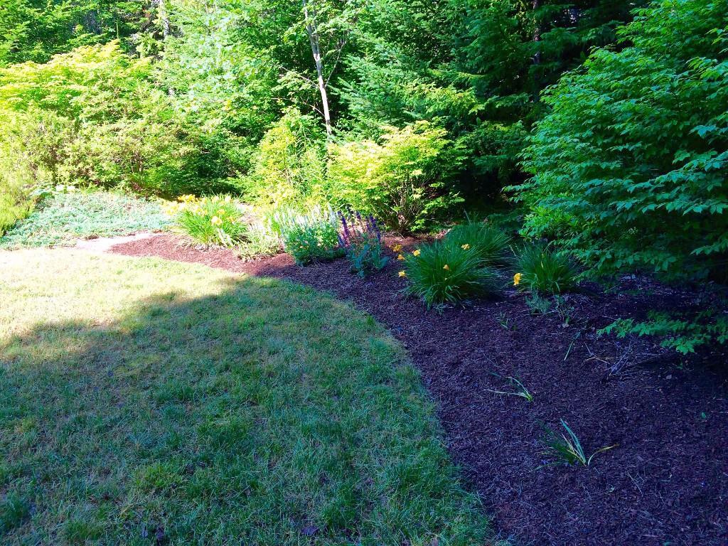 884 Tremont Road Bernard, ME 04612 - Photo 19 of 24 Nicely landscaped back yard.