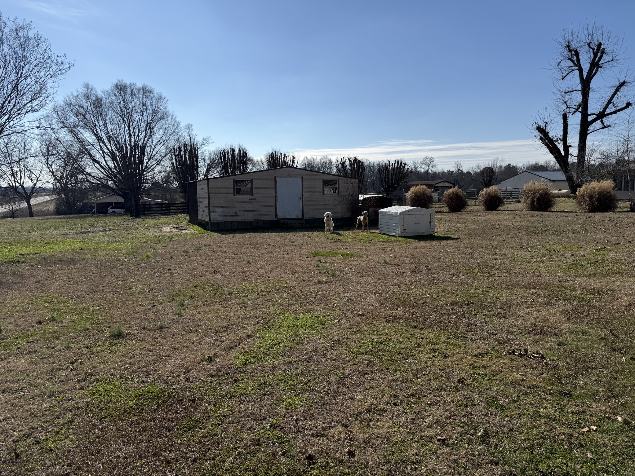 3 Bonnertown Road Five Points, TN 38457 - Photo 17 of 21 a row yard with a barn