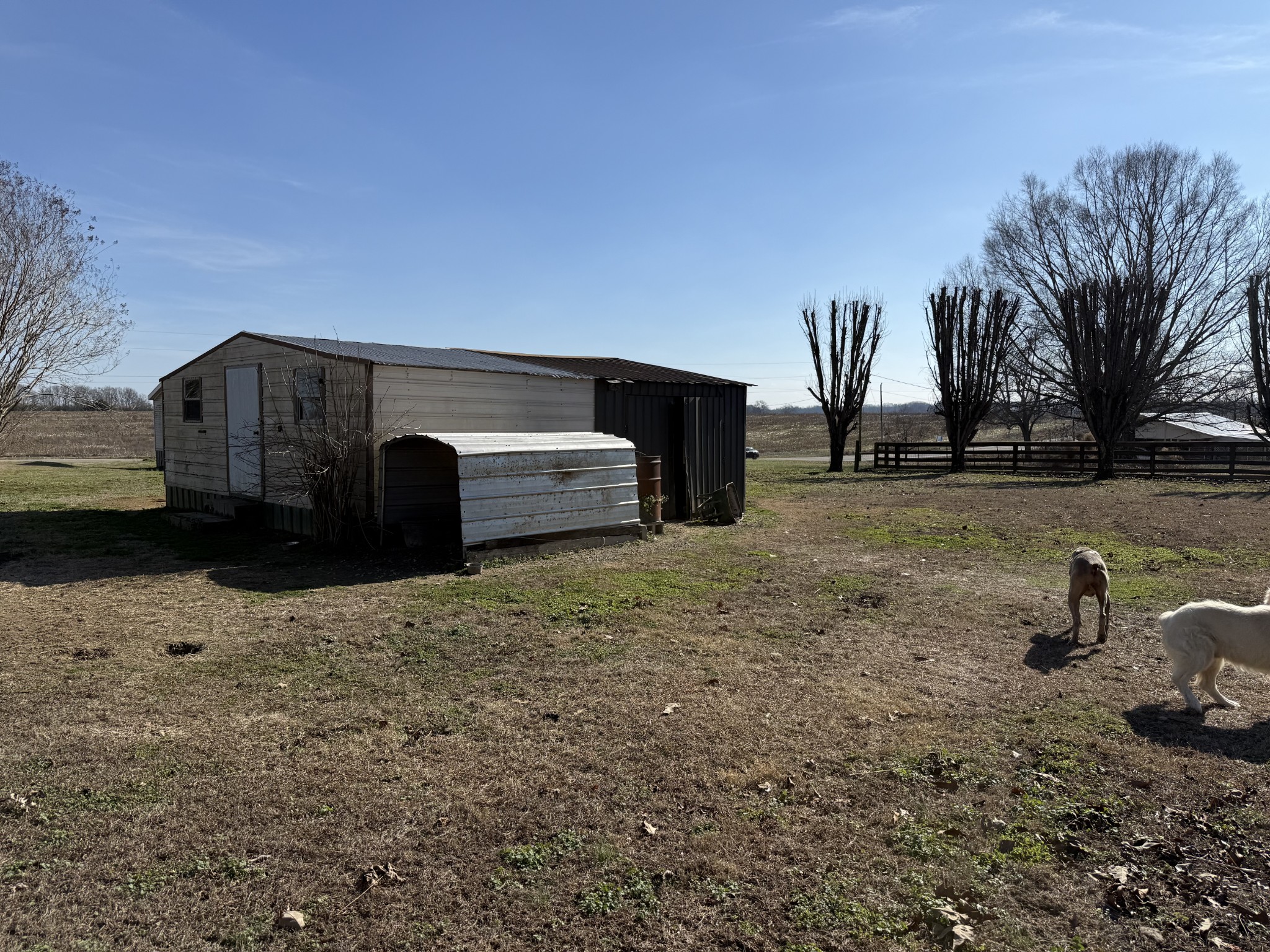 3 Bonnertown Road Five Points, TN 38457 - Photo 20 of 21 a view of a backyard