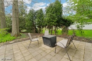 344 Longspur Road Highland Heights, OH 44143 - Photo 44 of 50 View of patio