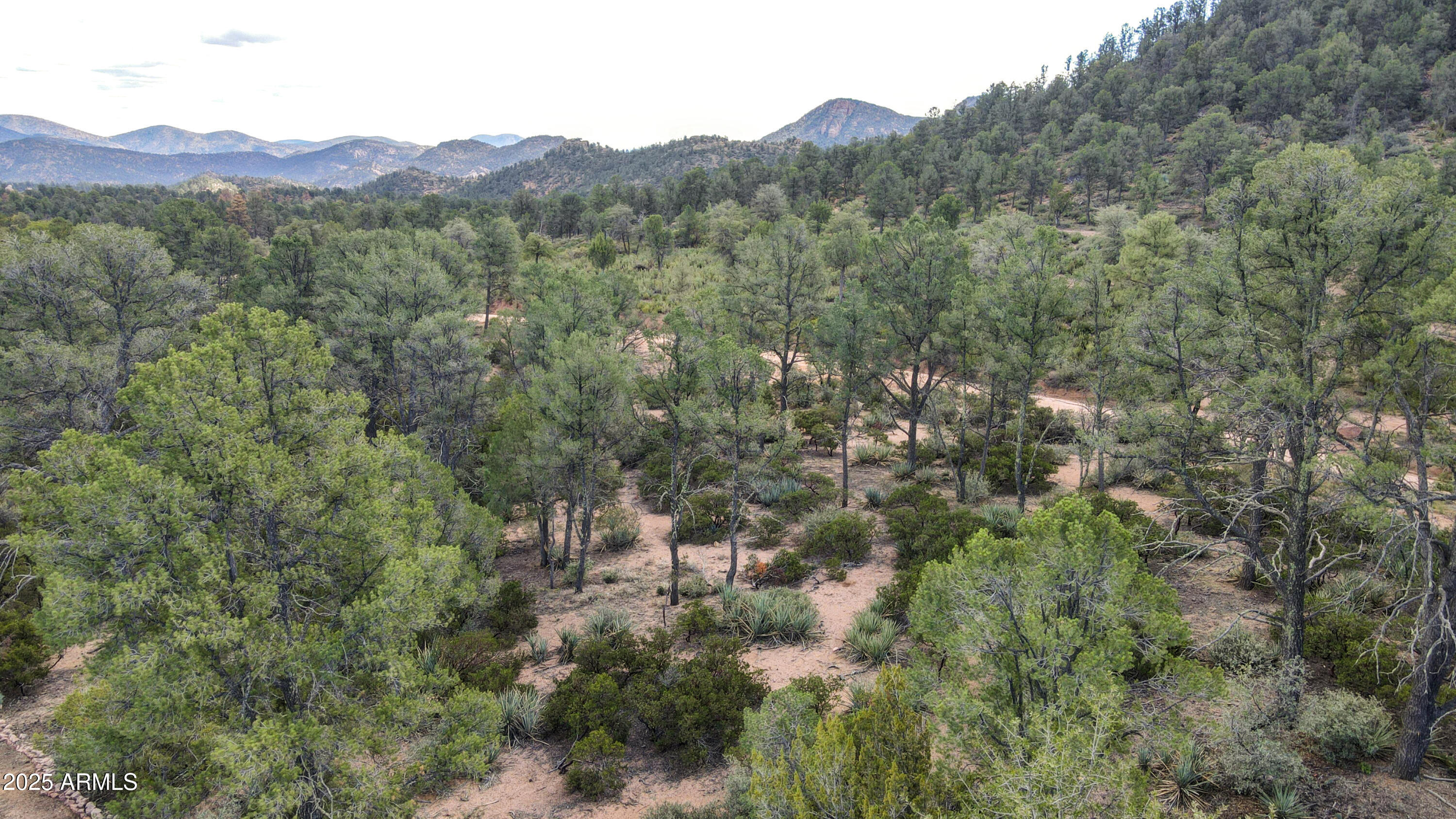 2201 East Rim Club Drive, Unit 98 Payson, AZ 85541 - Photo 13 of 13 a view of a lush green forest with a house