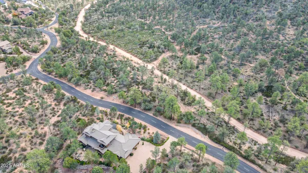 a view of a forest with a street