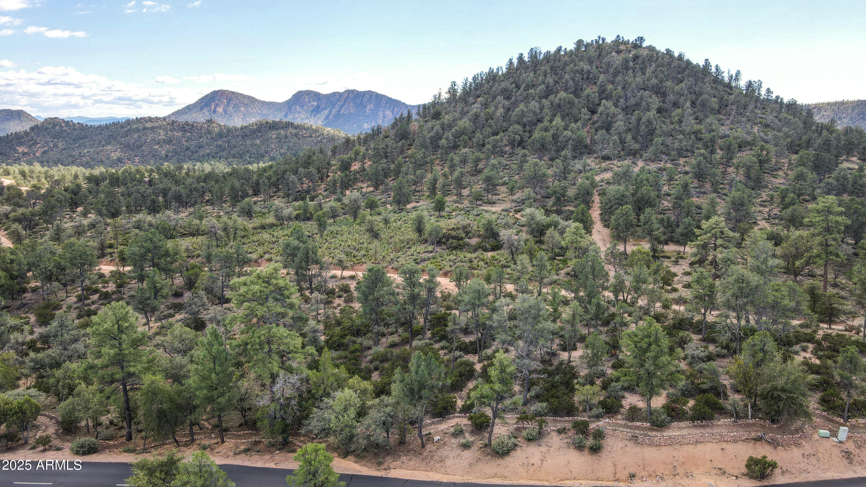 2201 East Rim Club Drive, Unit 98 Payson, AZ 85541 - Photo 10 of 13 a view of a forest with a street