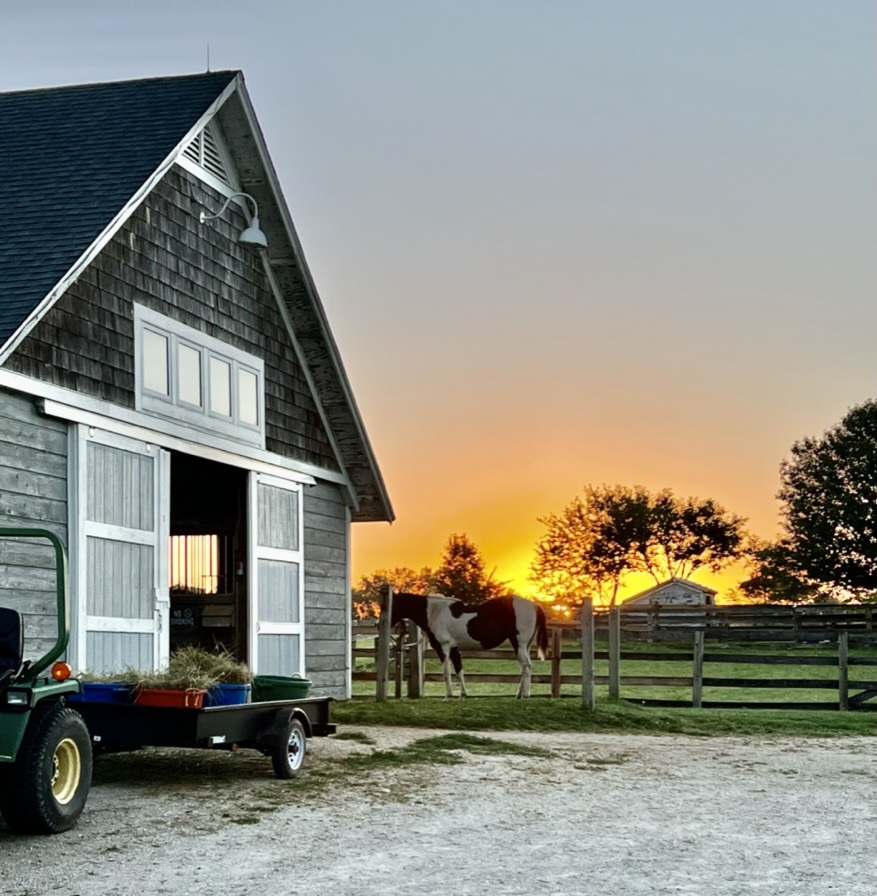 1347 Wild Indigo Road Grayslake, IL 60030 - Photo 45 of 49