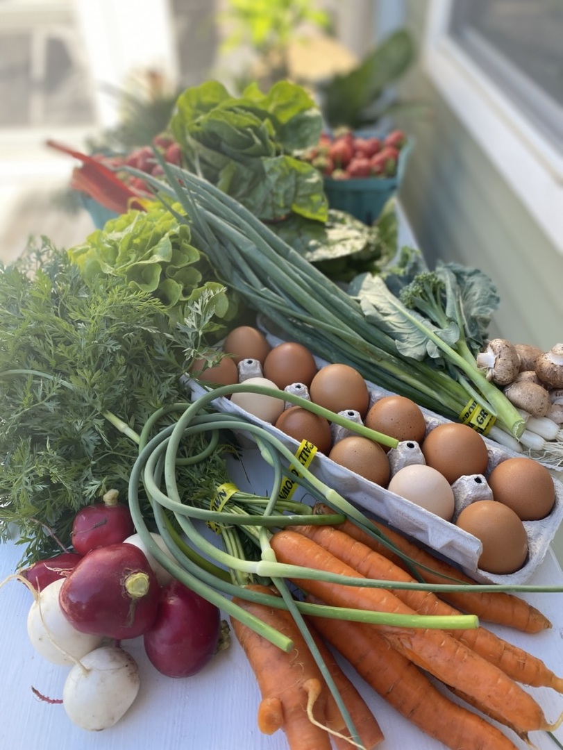 1347 Wild Indigo Road Grayslake, IL 60030 - Photo 46 of 49