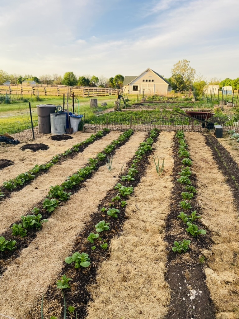 1347 Wild Indigo Road Grayslake, IL 60030 - Photo 47 of 49