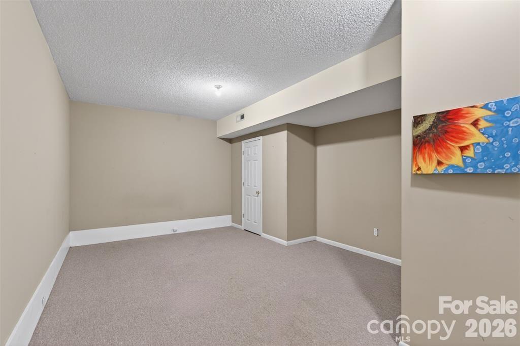 66 Misery Ridge Mill Spring, NC 28756 - Photo 31 of 43