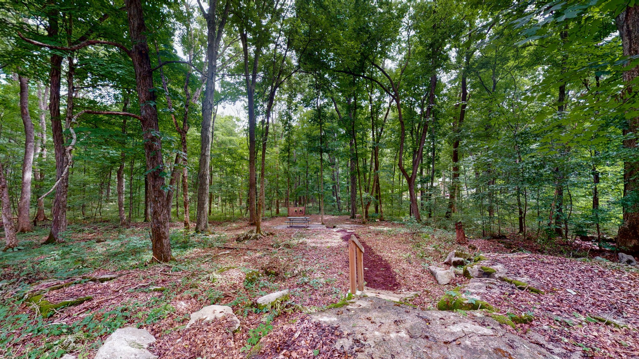 3398 Poplar Hill Road Watertown, TN 37184 - Photo 45 of 62