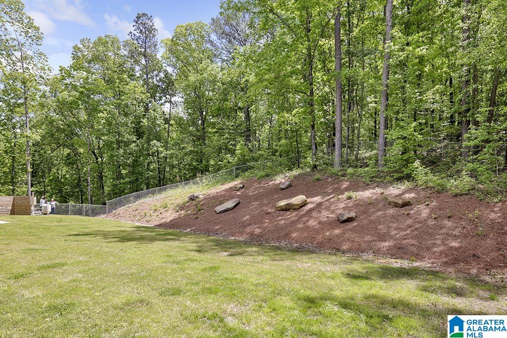 20 Clydes Cove Road Hayden, AL 35079 - Photo 14 of 85