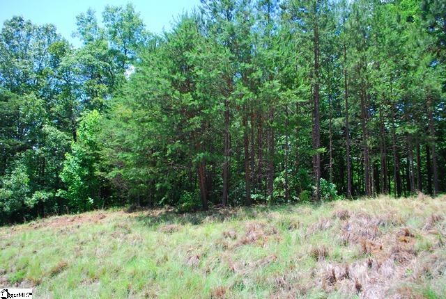 2 Thaxter Way, Unit CVC003 Travelers Rest, SC 29690 - Photo 2 of 2 Gallery Image 2