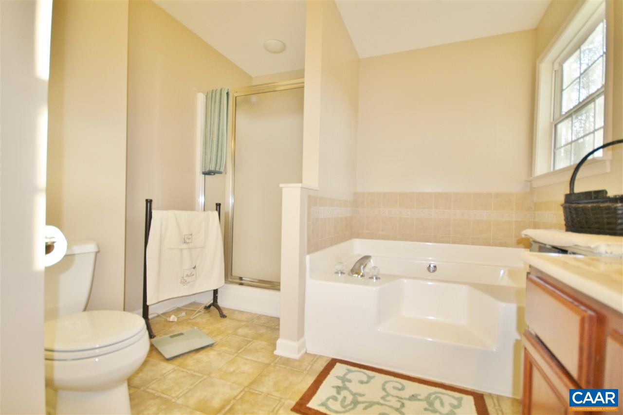357 White Cedar Road Barboursville, VA 22923 - Photo 14 of 25 Gallery Image 14